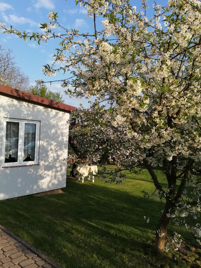 Miwa - Pokoje Do Wynajecia Mikołajki Exterior foto
